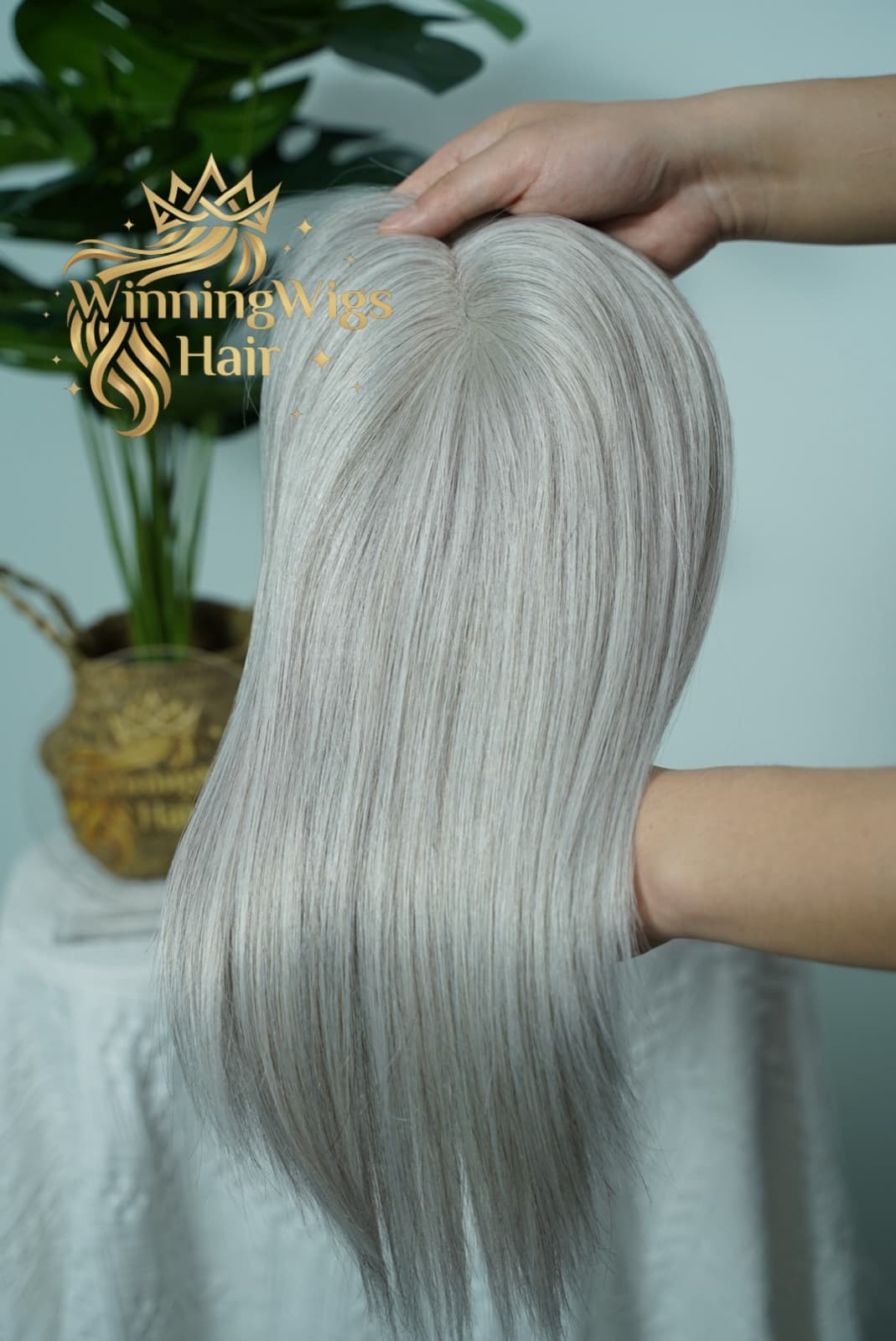 Back view of a silver grey mono topper showing smooth straight human hair
